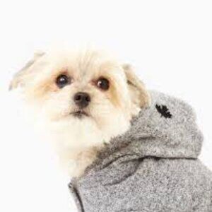 Roots x Canada Pooch Gray Dog Hoodie Sz 10 (10" Back Length)